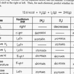 Le chatelier's principle worksheet with answers