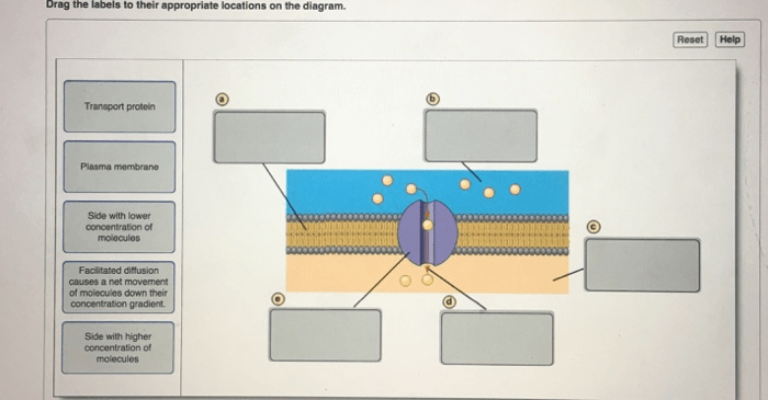 Drag the labels to their appropriate locations in this diagram