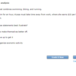 Scarcity and opportunity cost practice activities answer key